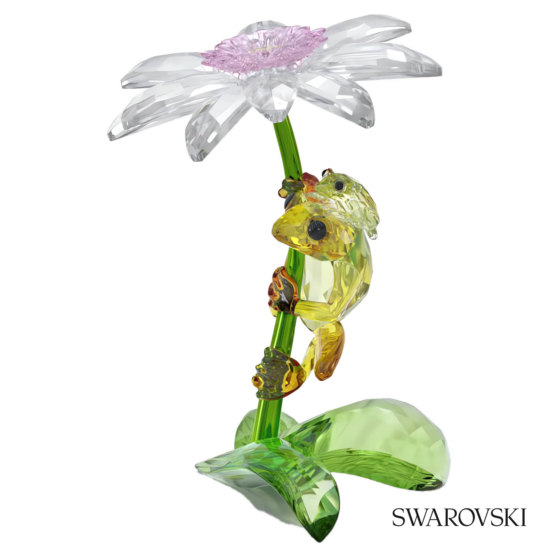 Swarovski Idyllia Frogs and Flower – item 5670892 image 2