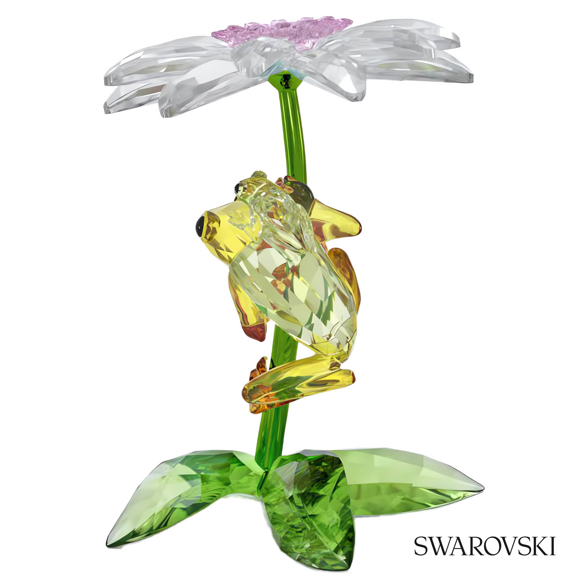 Swarovski Idyllia Frogs and Flower – item 5670892 image 3