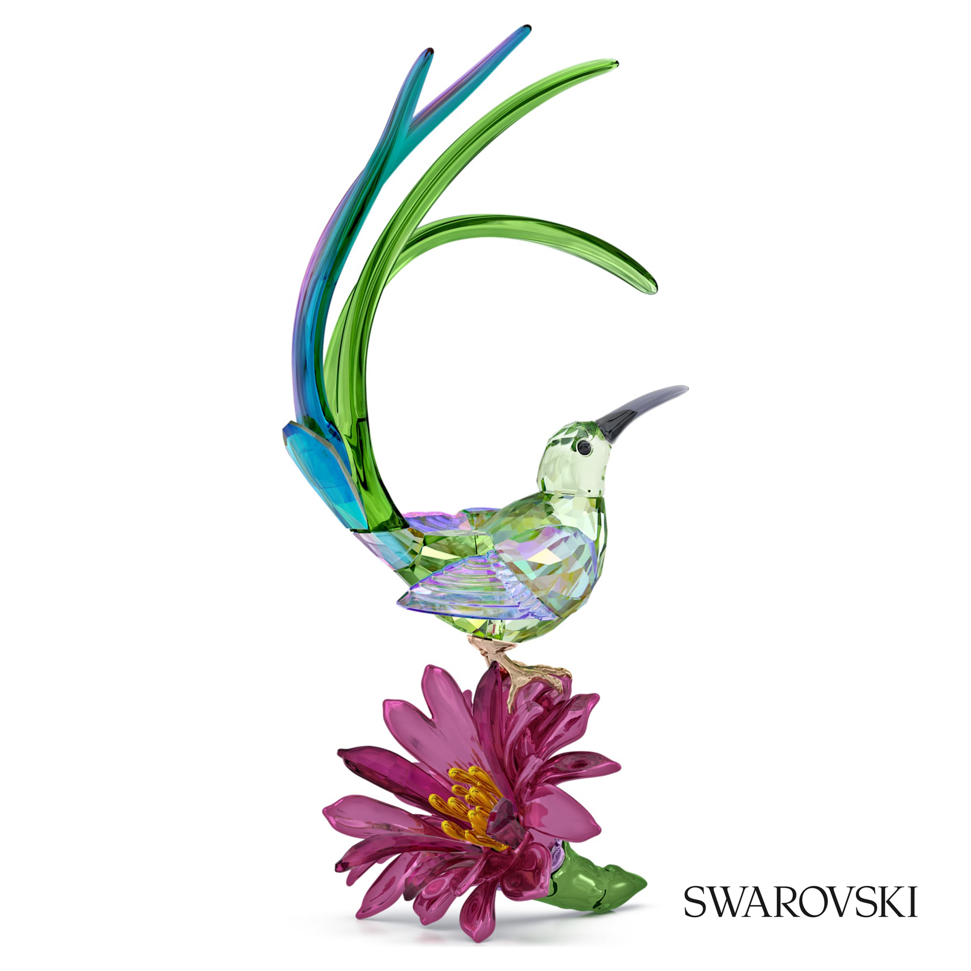 Swarovski Idyllia Sugarbird and Cactus Flower – item 5675166