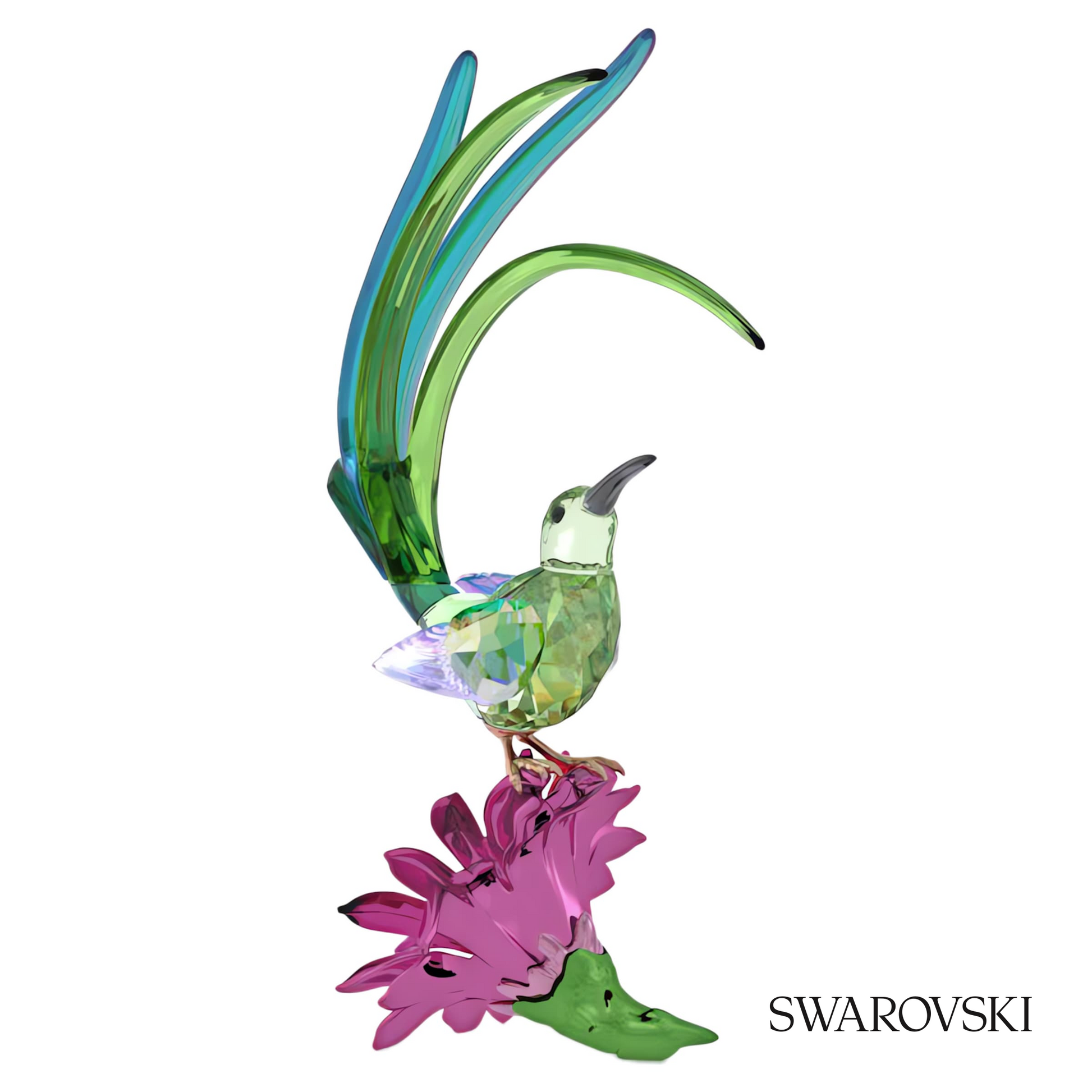 Swarovski Idyllia Sugarbird and Cactus Flower – item 5675166 image 2