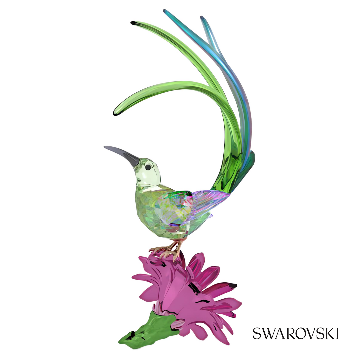 Swarovski Idyllia Sugarbird and Cactus Flower – item 5675166 image 3