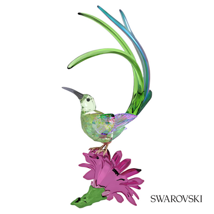 Swarovski Idyllia Sugarbird and Cactus Flower – item 5675166 image 3