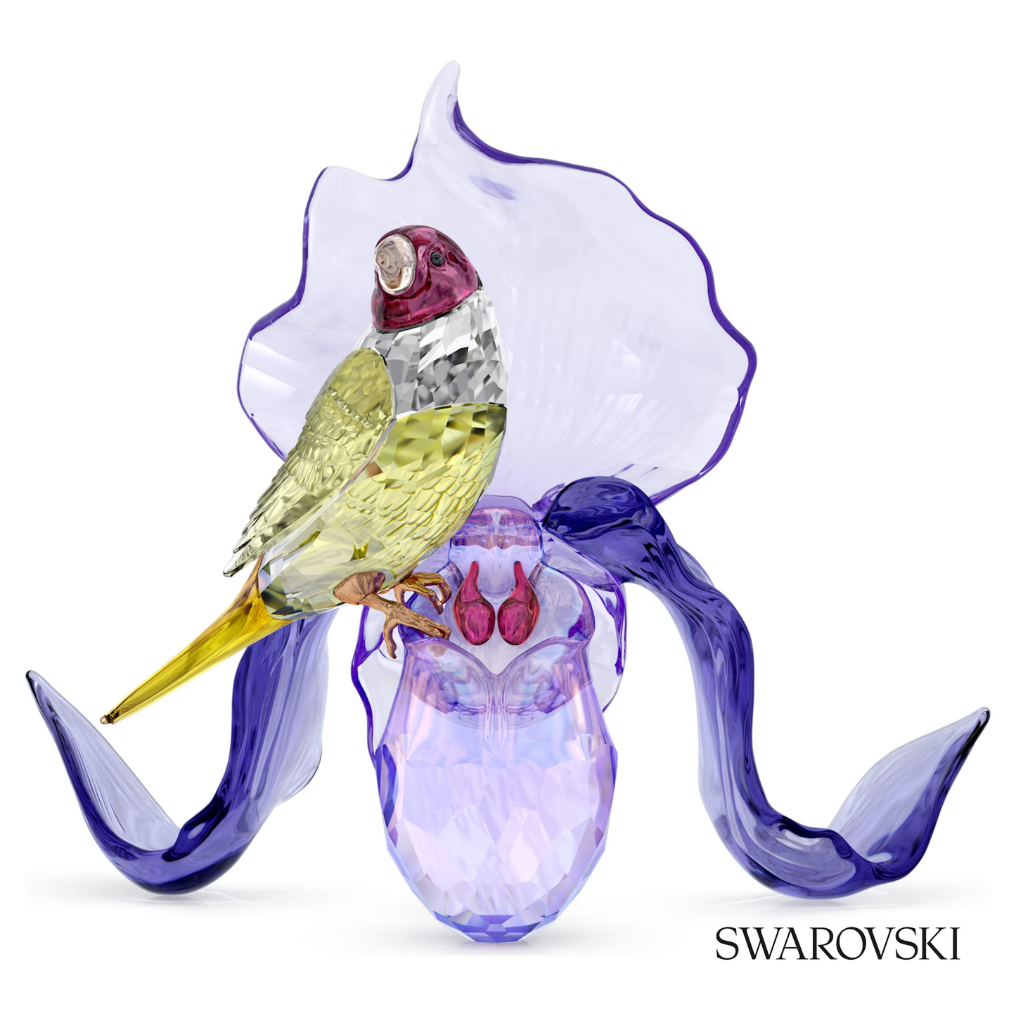 Swarovski Idyllia Gouldian Finch and Orchid – item 5675211