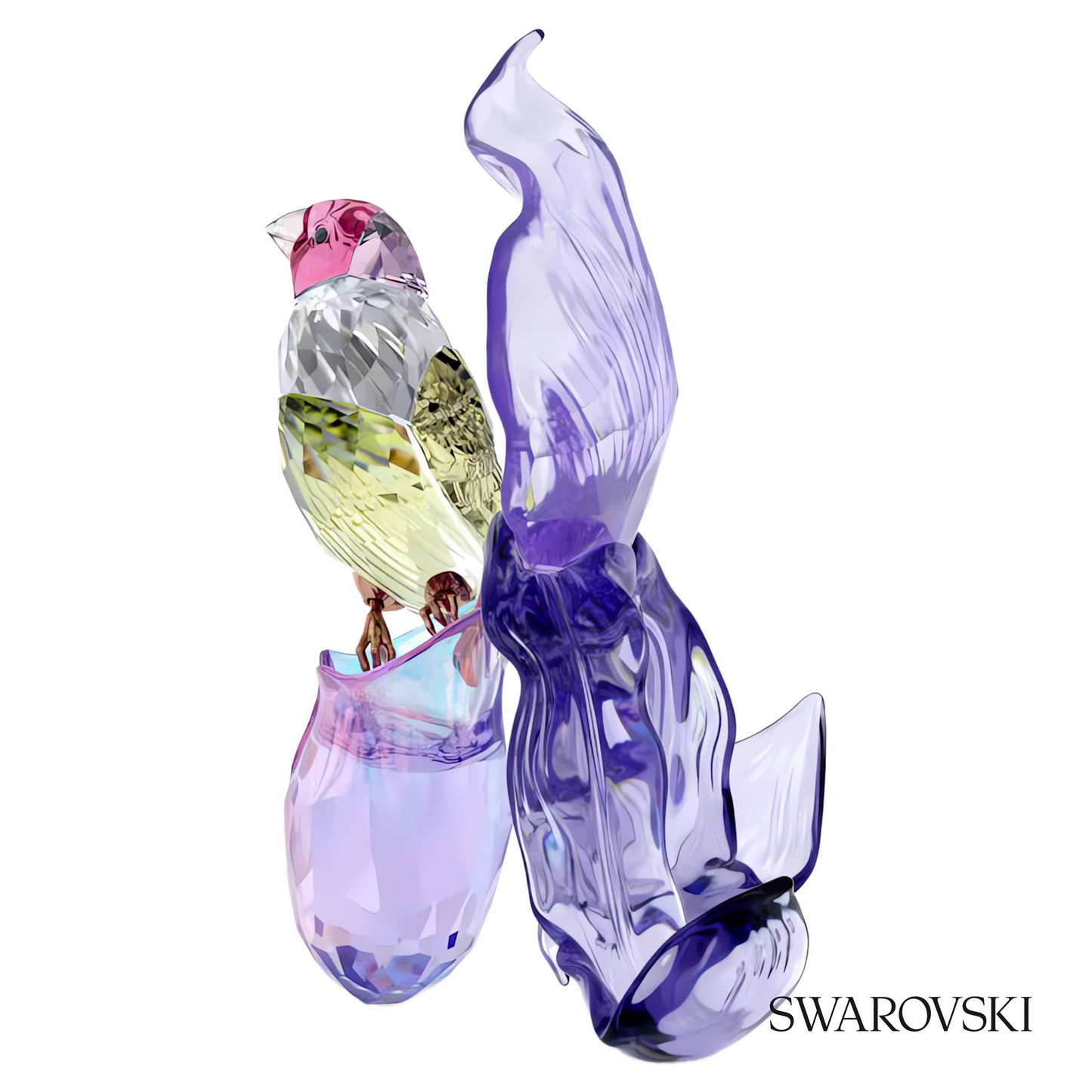 Swarovski Idyllia Gouldian Finch and Orchid – item 5675211 image 2