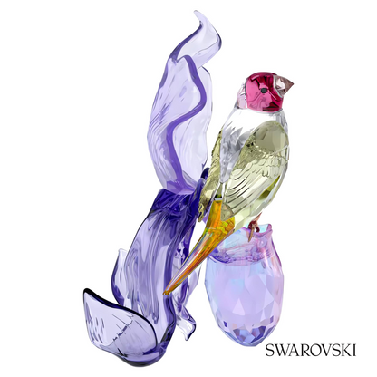 Swarovski Idyllia Gouldian Finch and Orchid – item 5675211 image 4