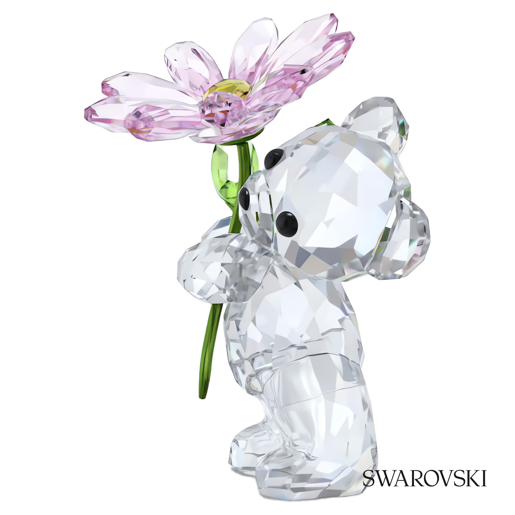 Swarovski Kris Bear A Daisy for You – item 5675327 image 2