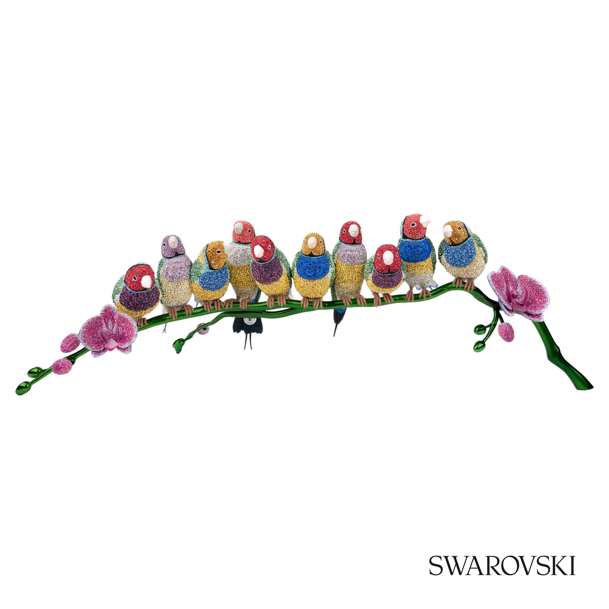 Swarovski Crystal Myriad Gouldian Finches – item 5677659