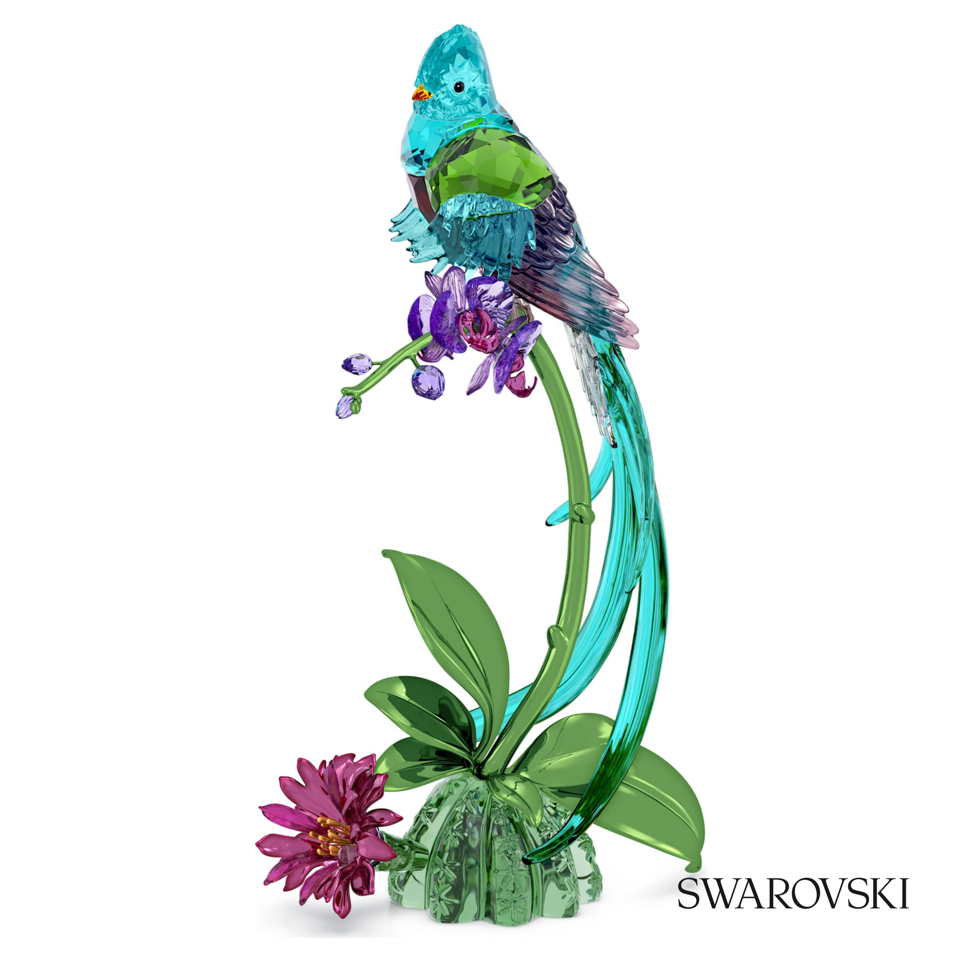 Swarovski Idyllia Quetzal and Orchid – item 5682123
