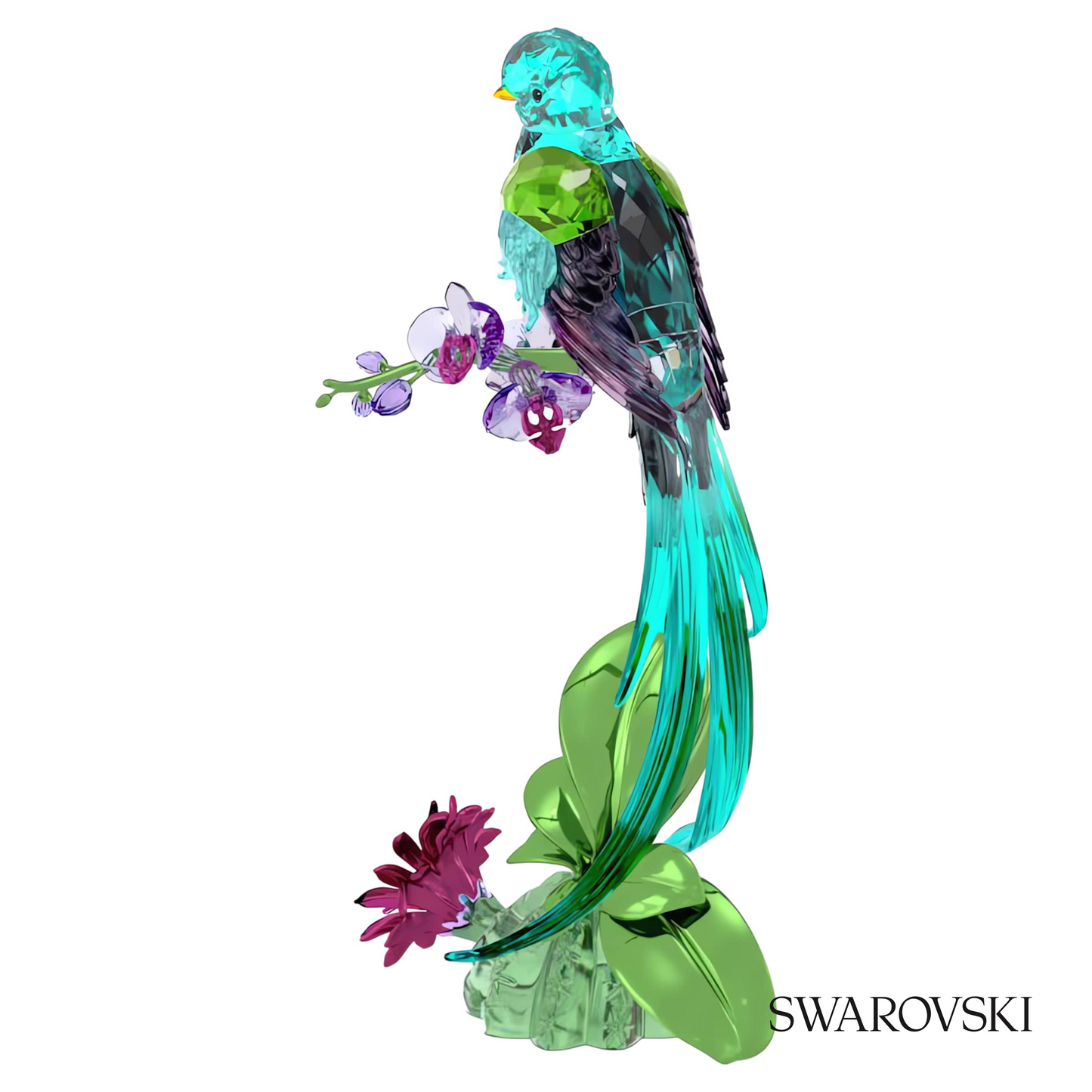 Swarovski Idyllia Quetzal and Orchid – item 5682123 image 2