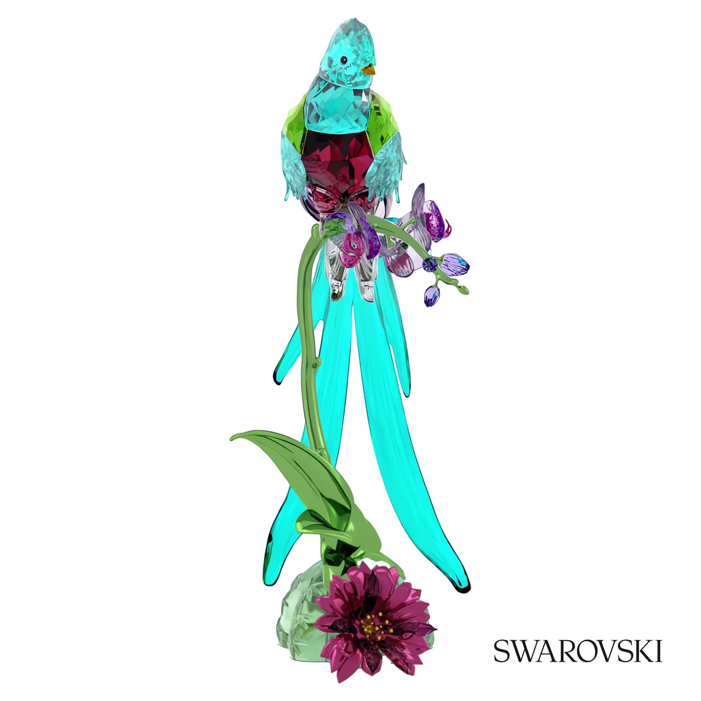 Swarovski Idyllia Quetzal and Orchid – item 5682123 image 4