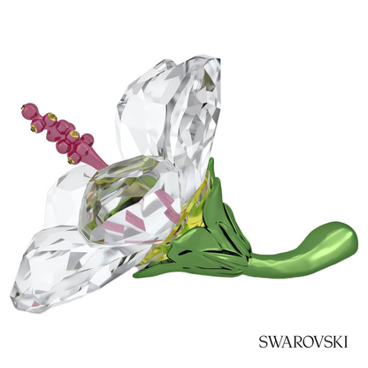 Swarovski Florere Hibiscus, Small – item 5690534 image 2