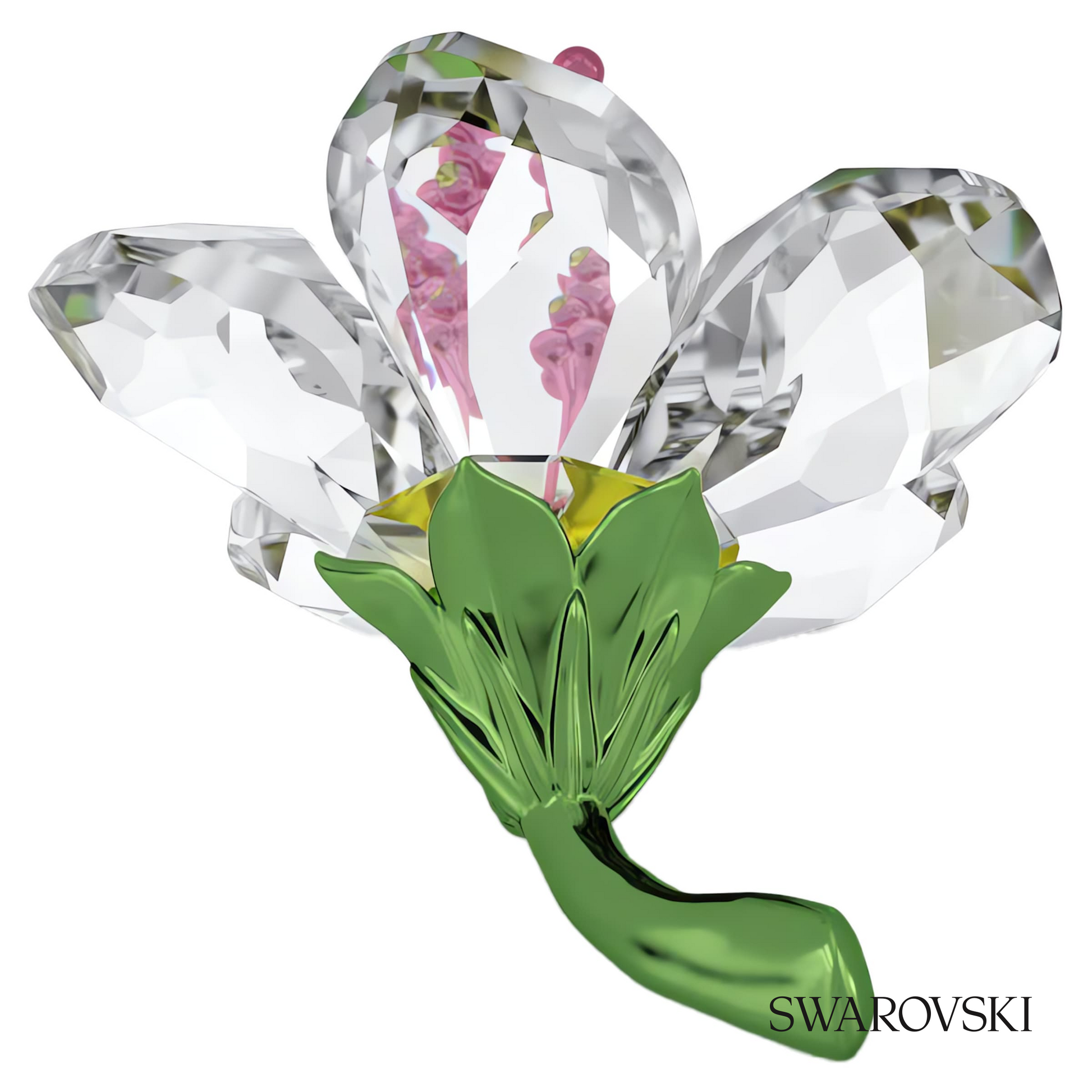 Swarovski Florere Hibiscus, Small – item 5690534 image 3