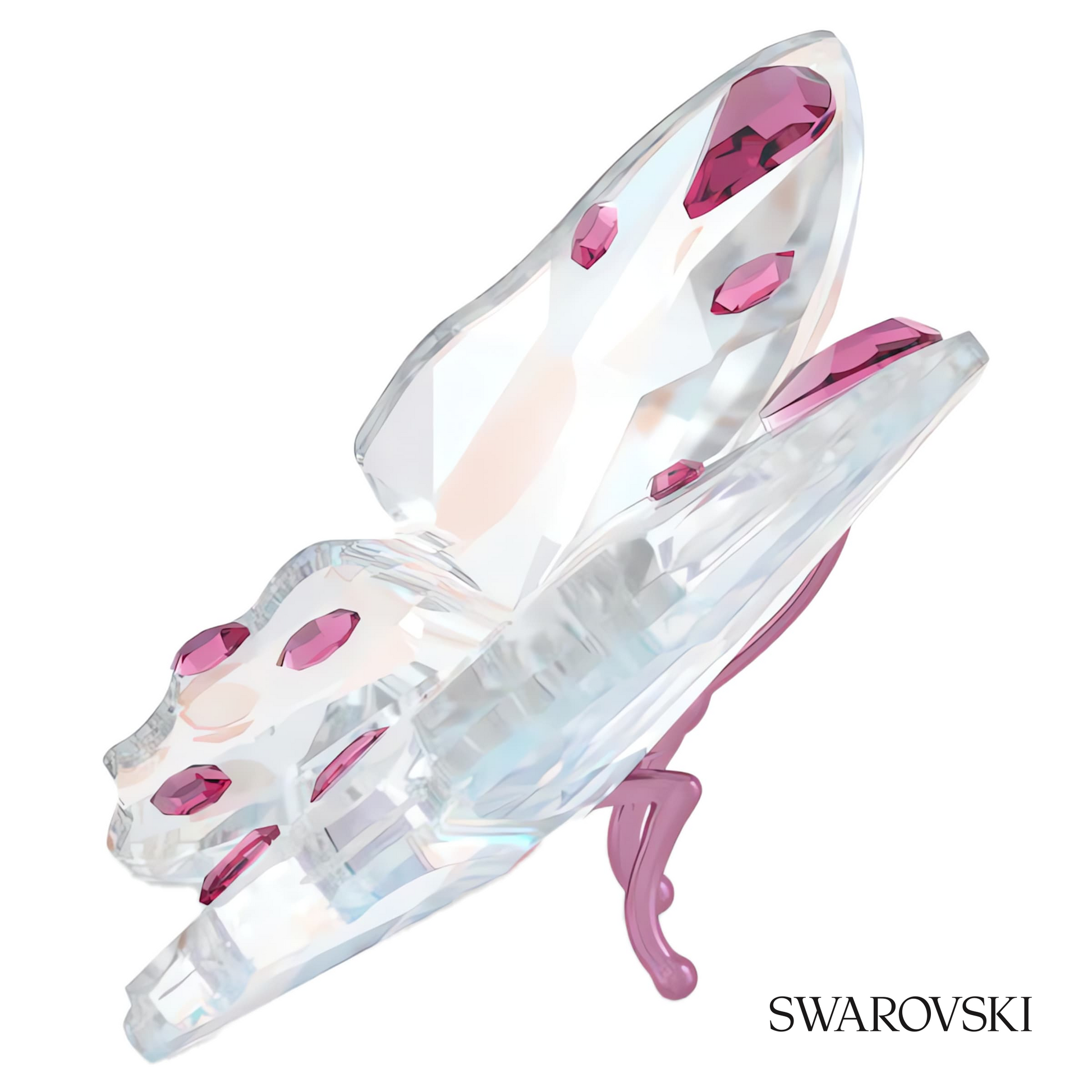 Swarovski Idyllia Butterfly, Small – item 5691959 image 2