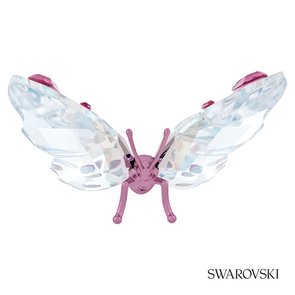 Swarovski Idyllia Butterfly, Small – item 5691959 image 3