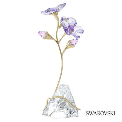 Swarovski Florere Rozanne – item 5693143 image 4