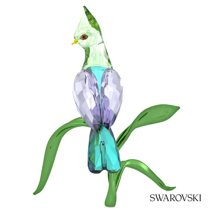 Swarovski Idyllia Green Turaco – item 5693147 image 2