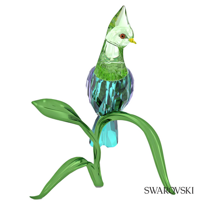 Swarovski Idyllia Green Turaco – item 5693147 image 4