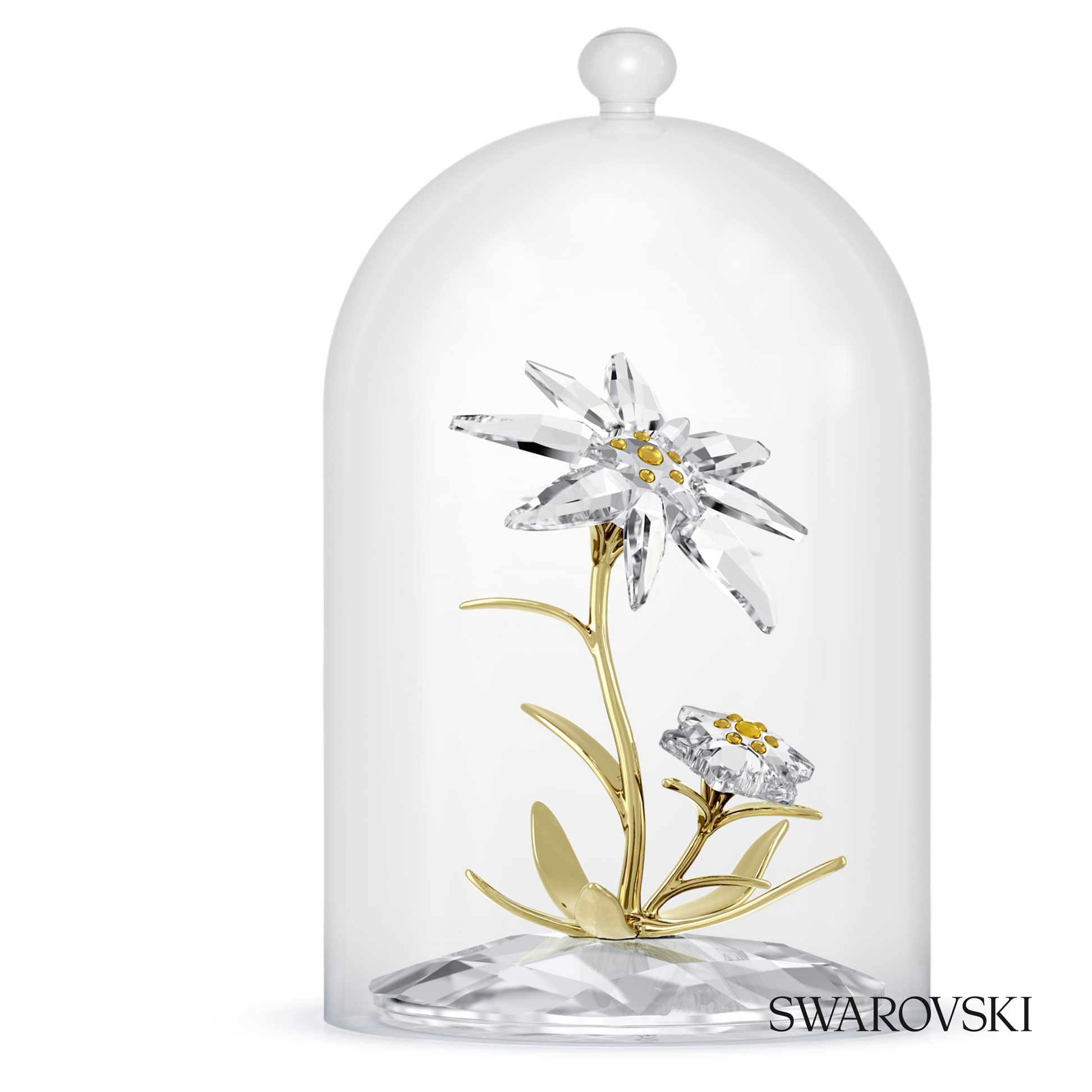 Swarovski Florere 130th Anniversary Bell Jar – item 5701376