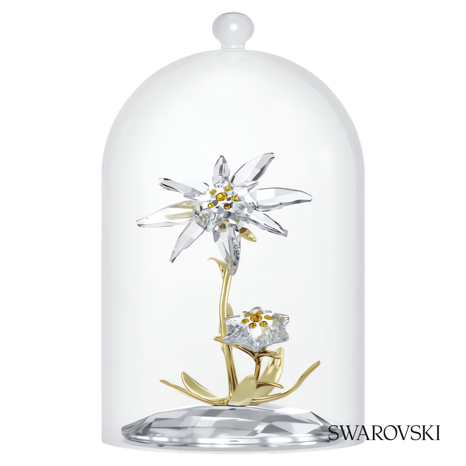Swarovski Florere 130th Anniversary Bell Jar – item 5701376 image 2