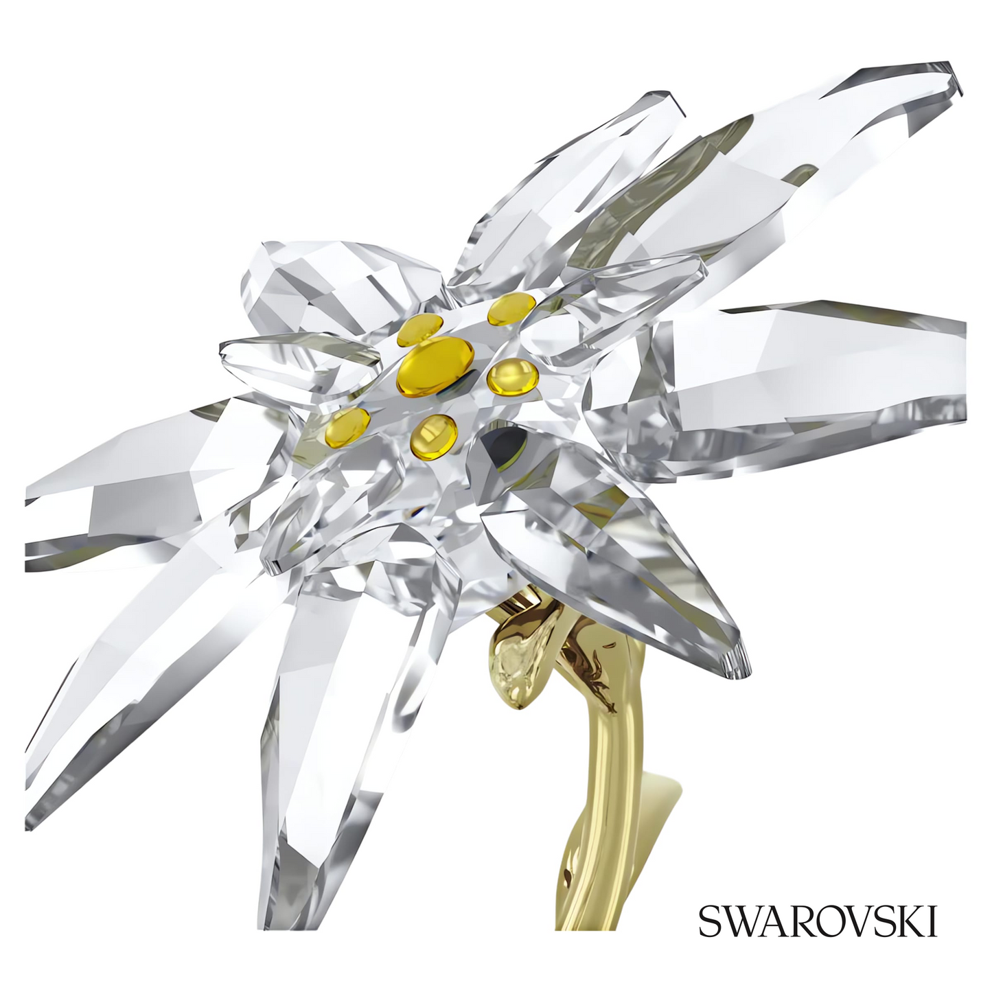 Swarovski Florere 130th Anniversary Bell Jar – item 5701376 image 3