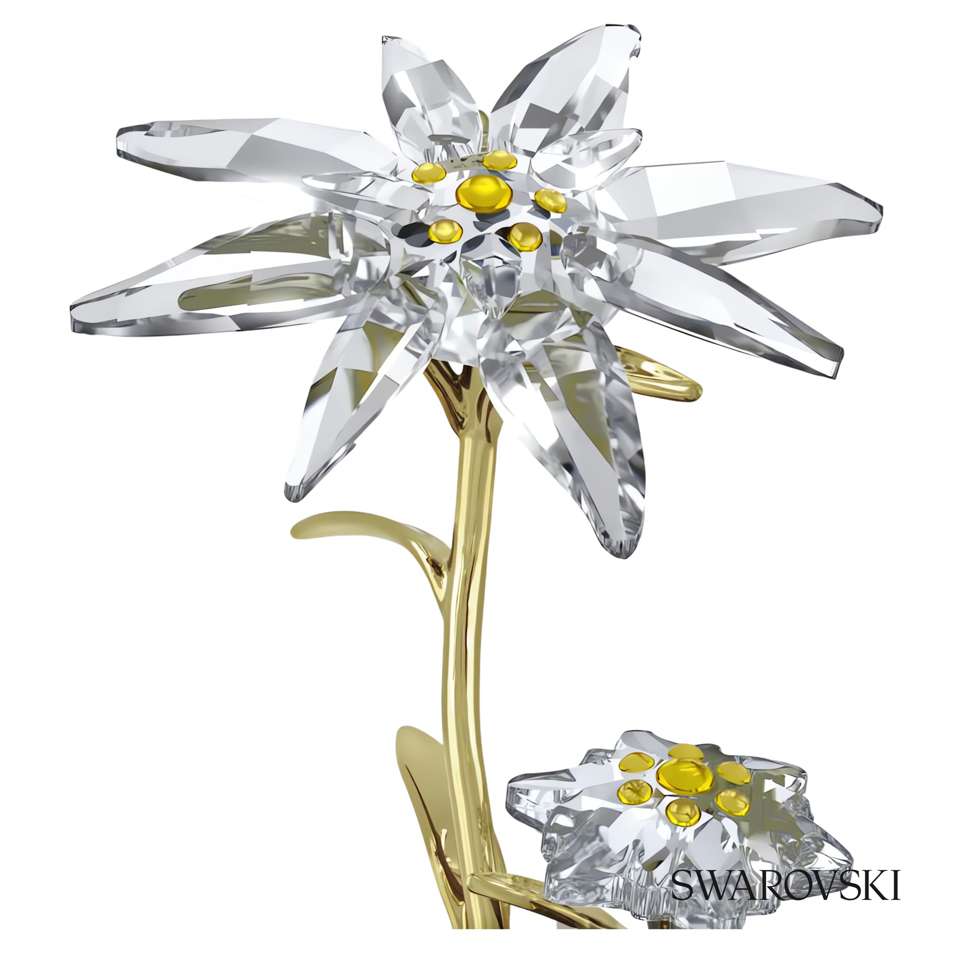 Swarovski Florere 130th Anniversary Bell Jar – item 5701376 image 4