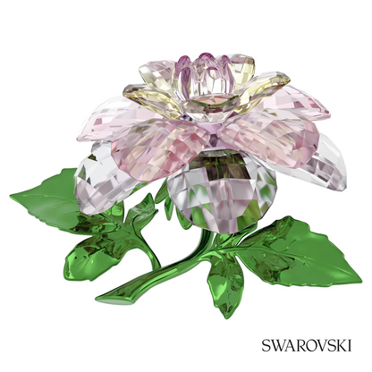Swarovski Florere Camellia – item 5721538 image 3