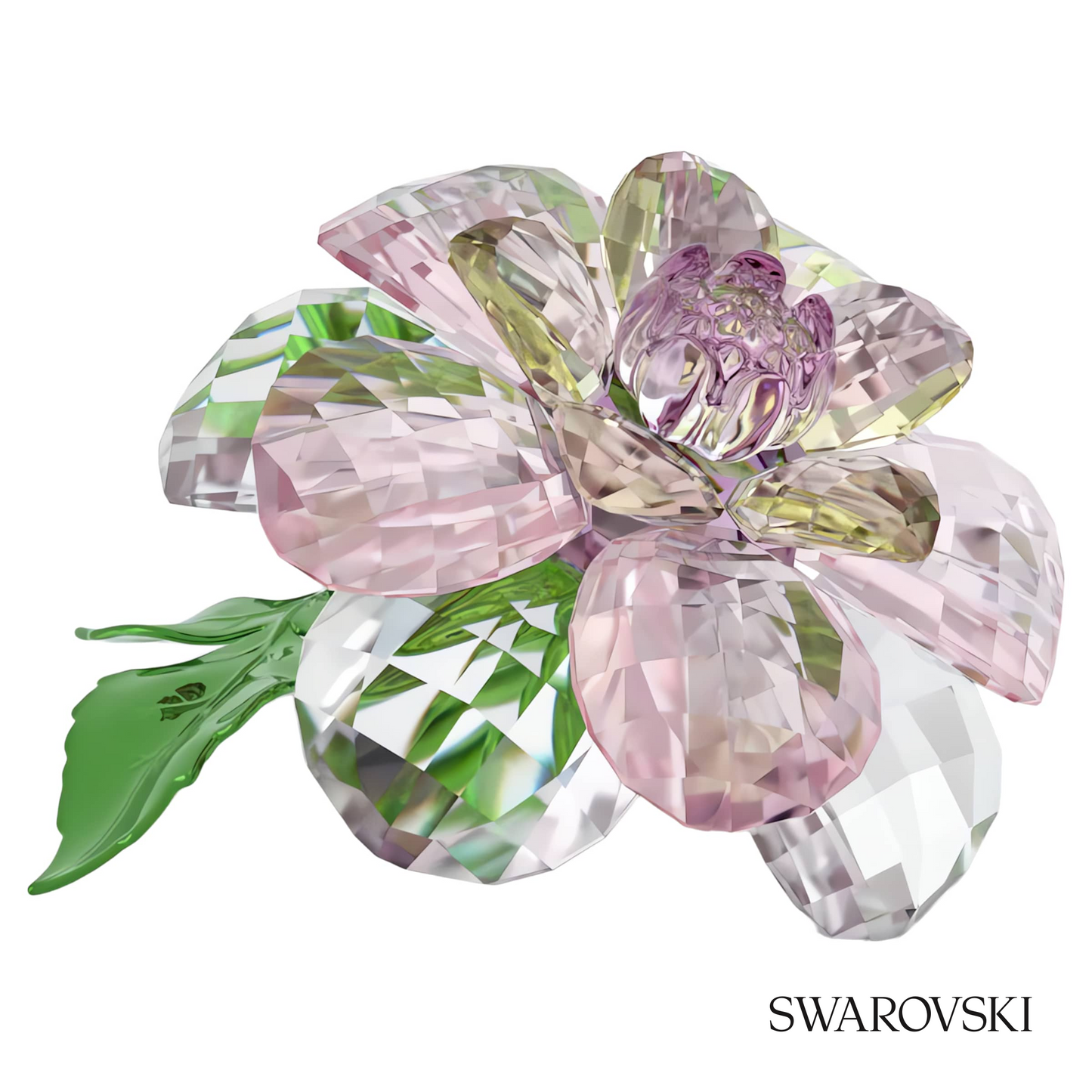 Swarovski Florere Camellia – item 5721538 image 4