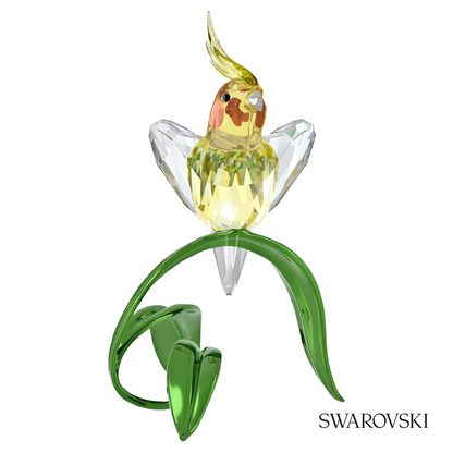 Swarovski Idyllia Cockatiel – item 5721544 image 4