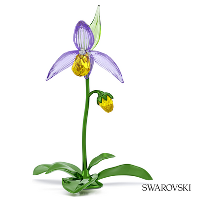 Swarovski Florere Lady Slipper Orchid – item 5721548