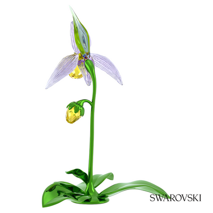 Swarovski Florere Lady Slipper Orchid – item 5721548 image 3