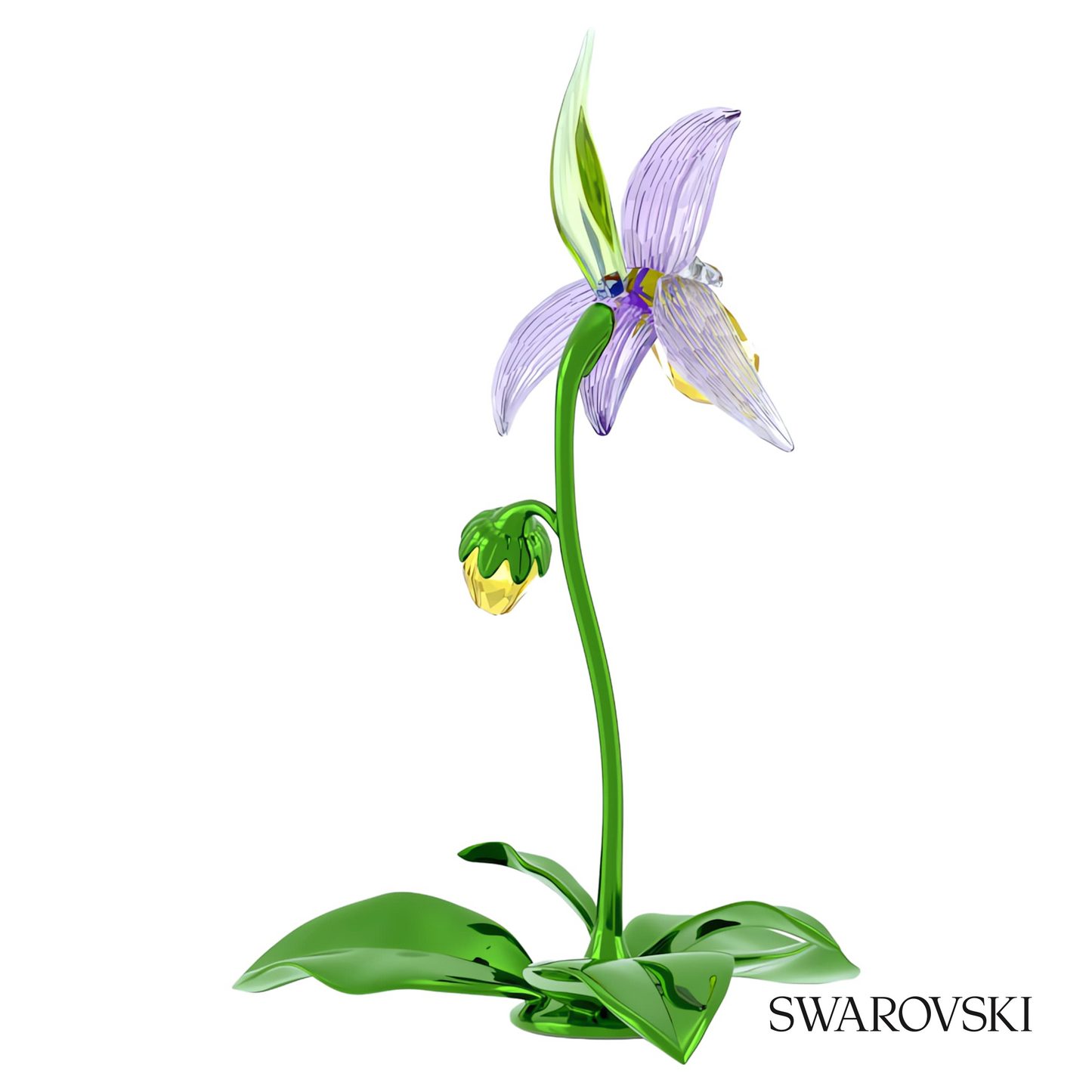 Swarovski Florere Lady Slipper Orchid – item 5721548 image 4