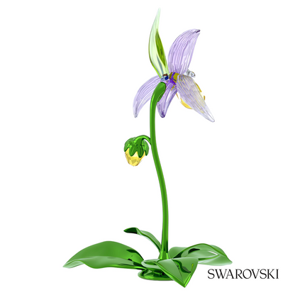 Swarovski Florere Lady Slipper Orchid – item 5721548 image 4
