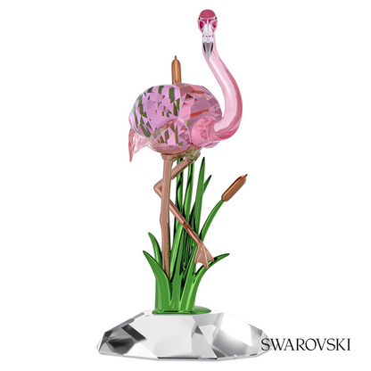Swarovski Idyllia Flamingo – item 5721551 image 2