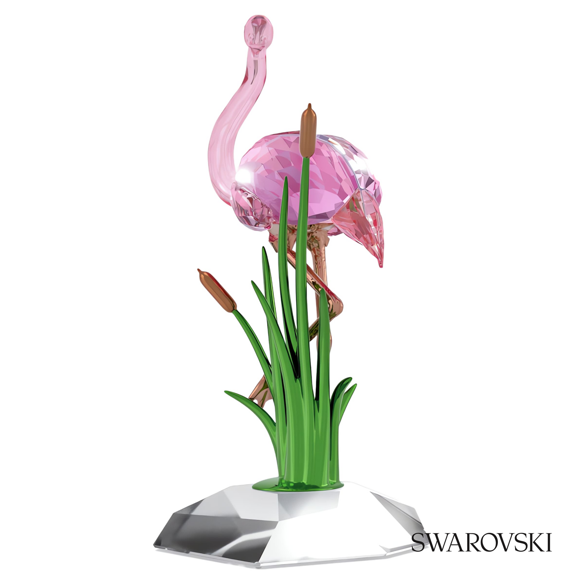 Swarovski Idyllia Flamingo – item 5721551 image 3