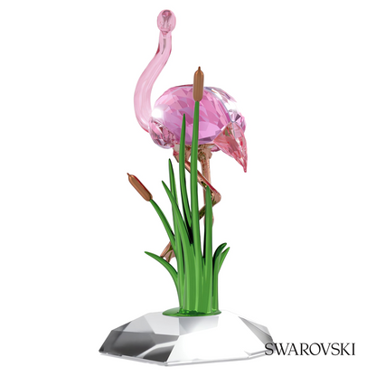 Swarovski Idyllia Flamingo – item 5721551 image 3