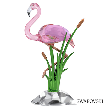 Swarovski Idyllia Flamingo – item 5721551 image 4