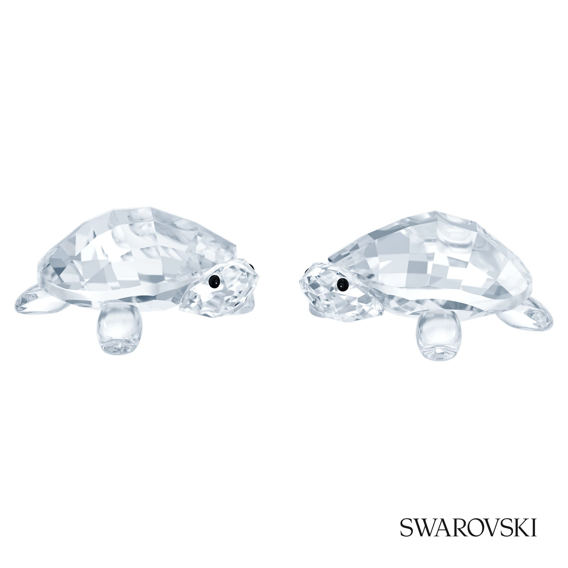 Swarovski Peaceful Countryside Baby Tortoises – item 5766603