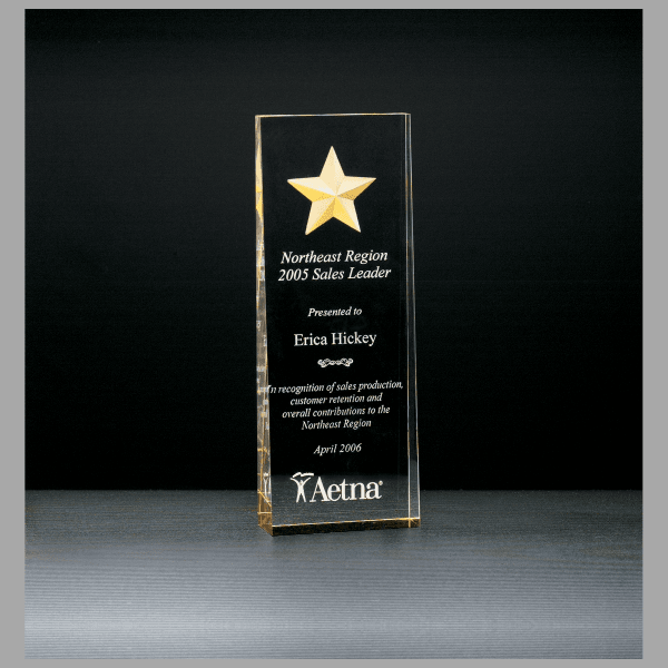 2.875" x 8" Constellation Series Etched Star w/ Gold Award – item A6595