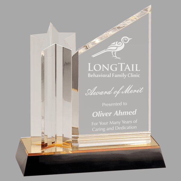 8" Star Column with Clear Plaq Acrylic Award – item ASC58