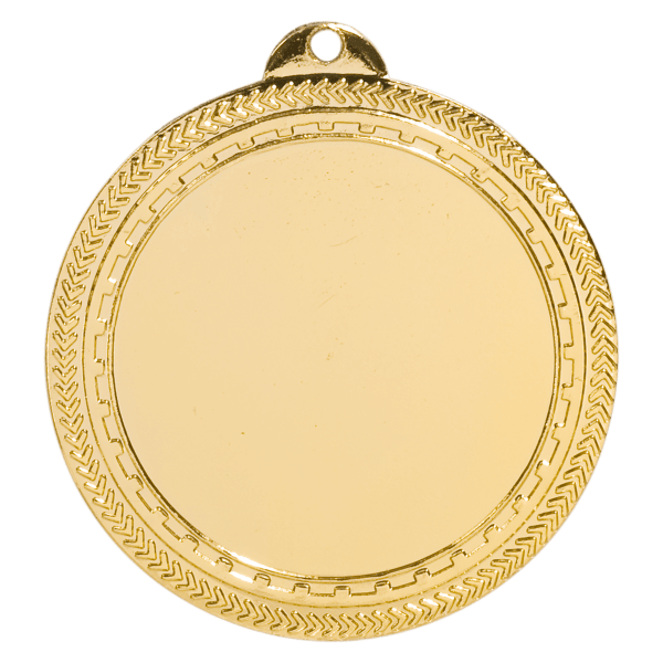 2.75" BriteLazer Insert Holder Medal – item BL224
