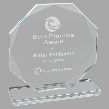 6.5" Octagon Clear Glass Award – item CGS12