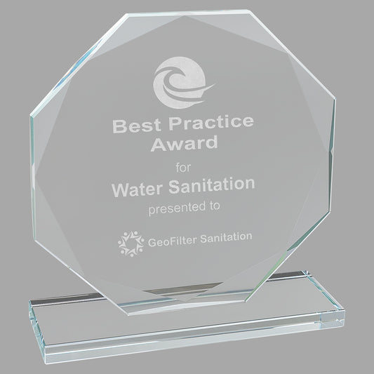 6.5" Octagon Clear Glass Award – item CGS12