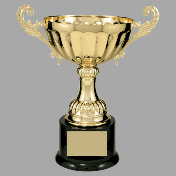 9.75" 104 Series Metal Cup Trophy – item CMC104G