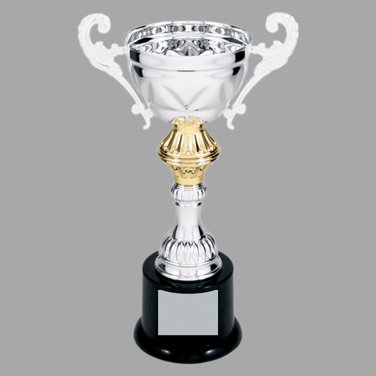 8.75" Silver with Gold 201 Series Metal Cup Trophy – item CMC201S