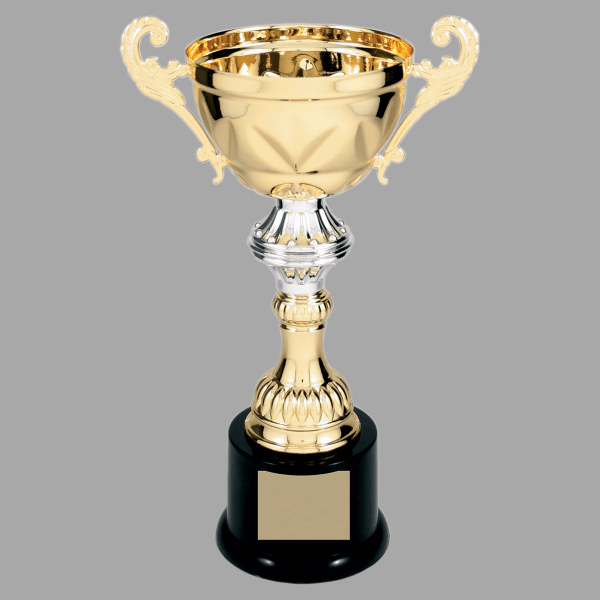 10" Gold with Silver 202 Series Metal Cup Trophy – item CMC202G