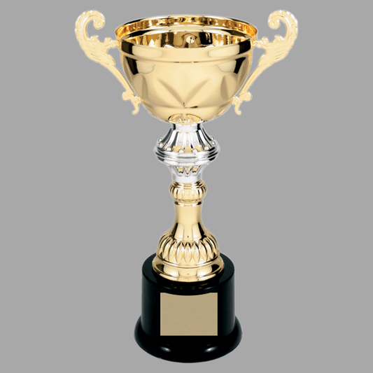10" Gold with Silver 202 Series Metal Cup Trophy – item CMC202G