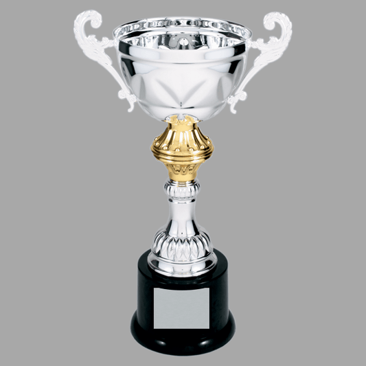 10" Silver with Gold 202 Series Metal Cup Trophy – item CMC202S