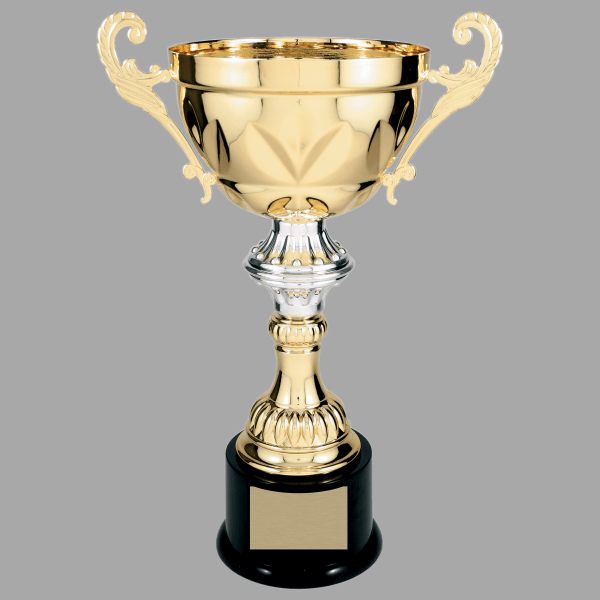 14.5" Gold with Silver 205 Series Metal Cup Trophy – item CMC205G