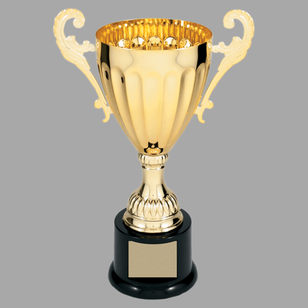 9.75" 302 Series Metal Cup Trophy – item CMC302G