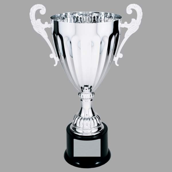 13.25" 304 Series Metal Cup Trophy – item CMC304S